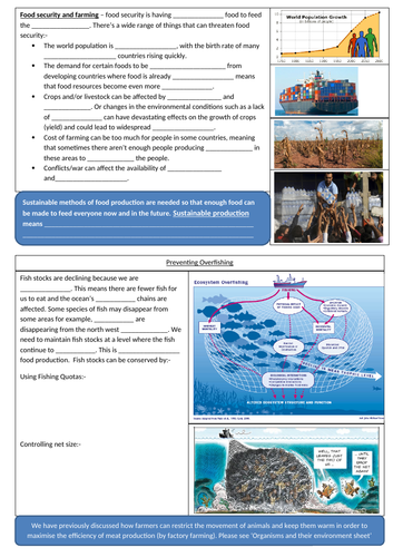 AQA GCSE Biology Revision sheets on food production and security