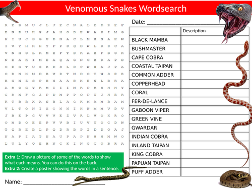 Venomous Snakes Wordsearch Sheet Starter Activity Keywords Animals Reptiles