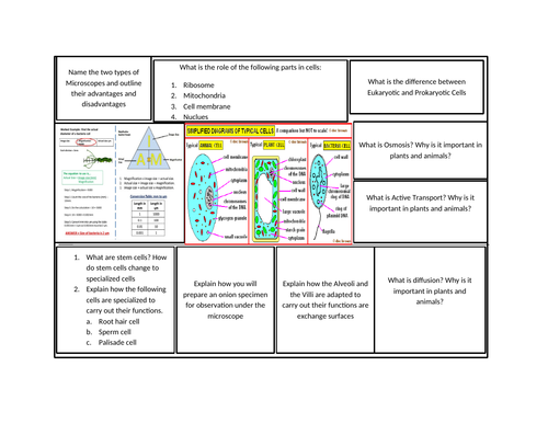 Cells and Cell Transport Revision MAT