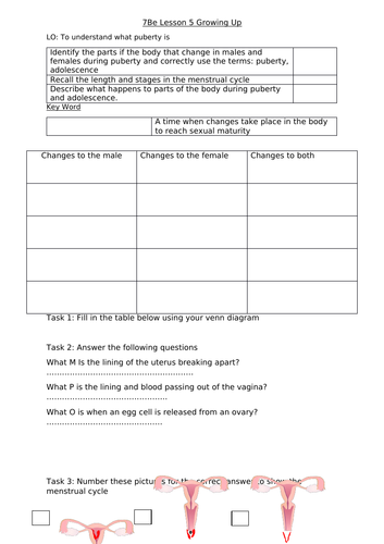 7B Reproduction: 7Be Growing Up from Exploring science