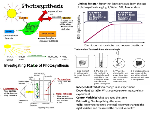 Photosynthesis and Transpiration Revision MAT and Question MAT