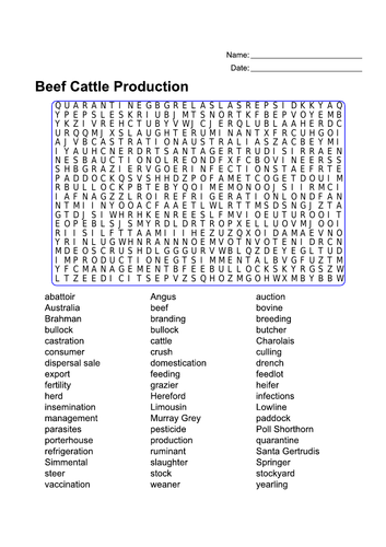Beef cattle production word search