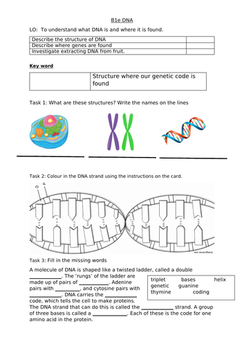 B1e DNA  GCSE with ELC 2016