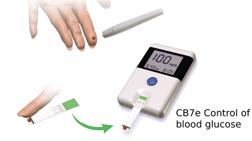 CB7e Control of Blood glucose