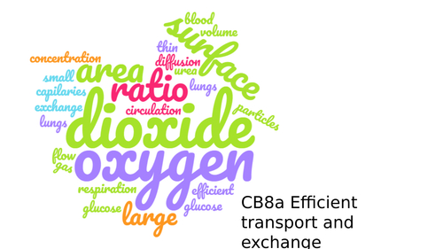 CB8a Efficient transport and exchange