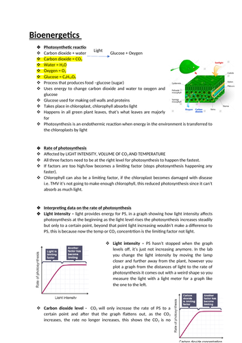Bioenergetics  revision
