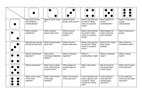 Biology Digestion Revision Dice Games