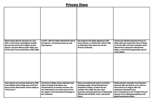 Princess Diana Comic Strip and Storyboard