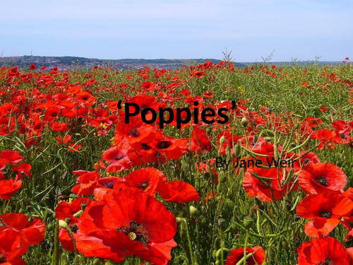 AQA Poetry Poppies by Jane Weir