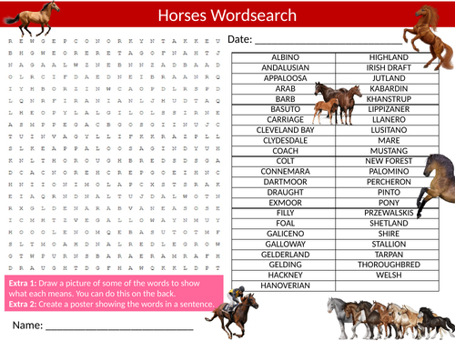 4 x Horses Wordsearch Sheet Starter Activity Keywords Cover Animals Nature