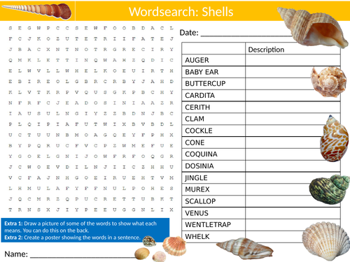 Shells Wordsearch Sheet Starter Activity Keywords Cover Nature The Beach Sea