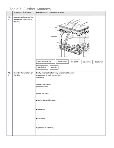 IB DP SEHS Higher Level Revision Sheet