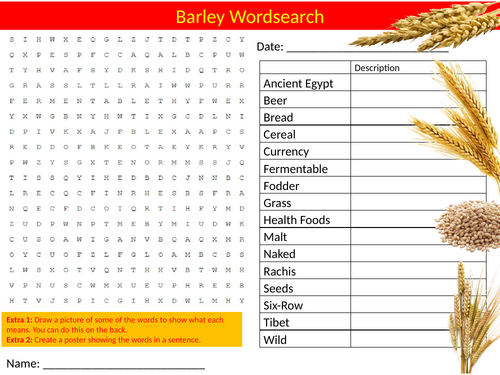 Barley Wordsearch Sheet Starter Activity Keywords Cover Food Design Technology