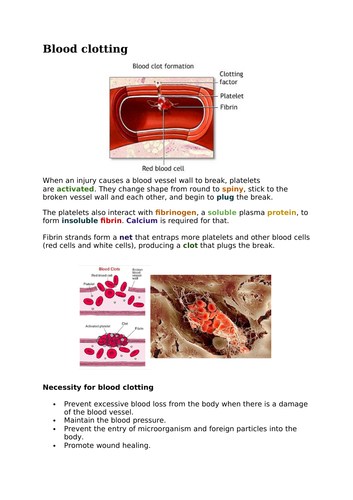blood components carousel lesson