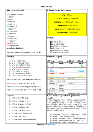 French KS3 pets: les animaux (vocabulary, translation and adjective agreement)