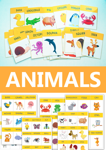 ANIMALS | Teaching Resources