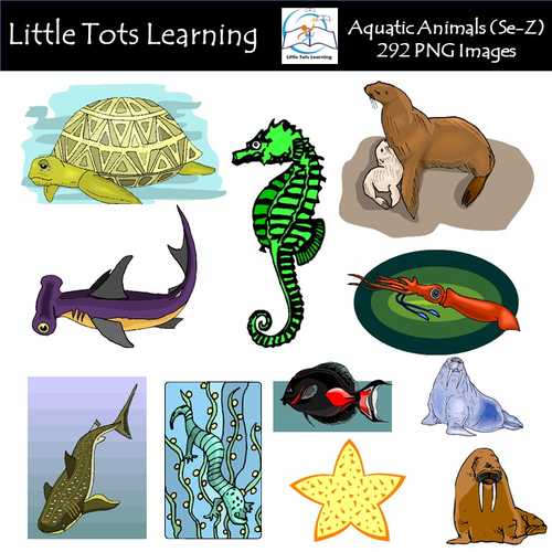 Aquatic Animals (Se-Z) Clip Art - Commercial Use