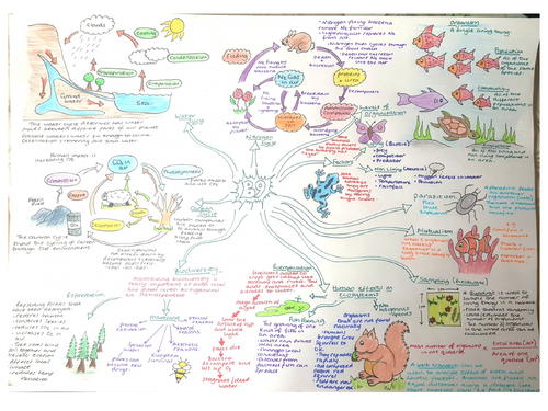CB9, Revision MindMap, Edexcel, 'Ecosystems & Material Cycles'