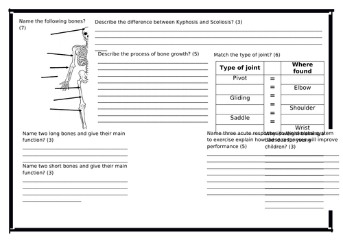 Btec Sport L3 - Skeletal Revision Quiz - 10 minute starter
