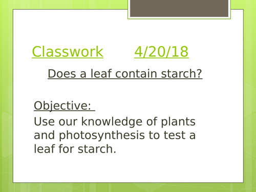 testing a leaf for starch GCSE new spec
