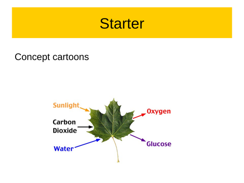 limiting factors of photosynthesis gcse new spec