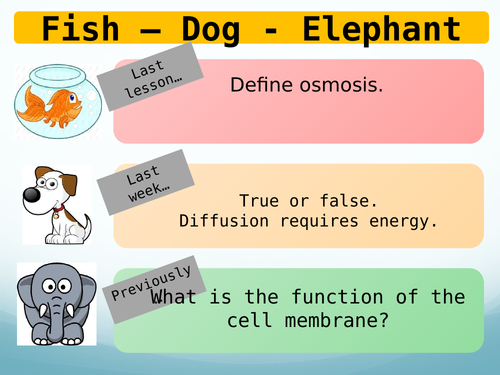 how plants use glucose GCSE new spec