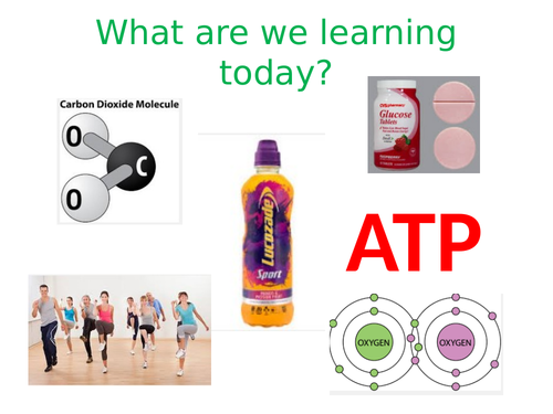 Aerobic respiration GCSE new spec