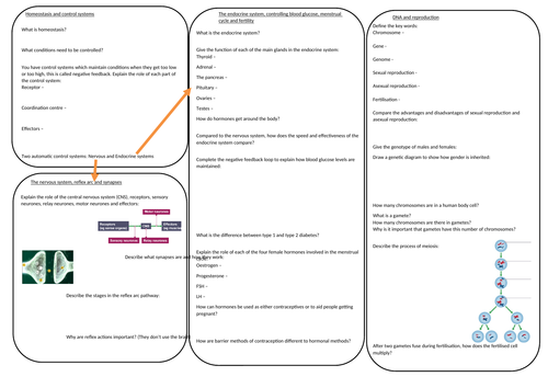 AQA trilogy Biology paper 2 revision