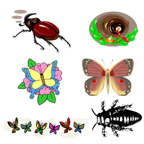Bugs & Insects Clip Art (A-C) - Commercial Use