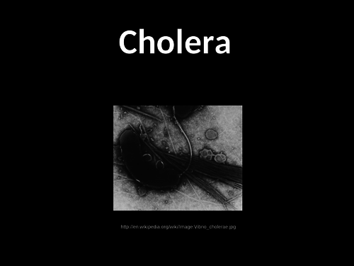 Cholera: Data handling and Mechanism of infection