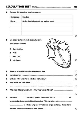 GCSE Circulation test (/20 easy to mark)