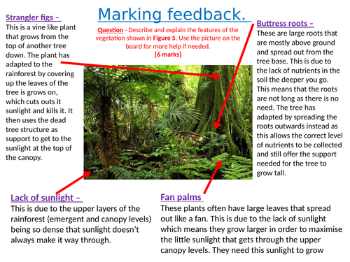 Tropical rainforests - Lesson 7 - Impacts of deforestation