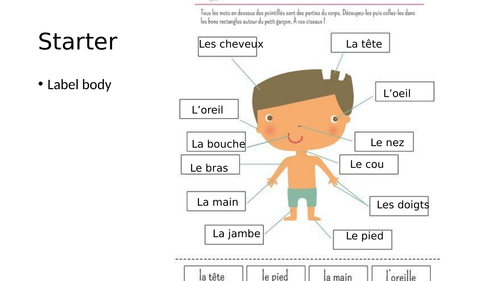 French KS3 parts of the body