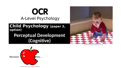 OCR A-Level Psychology. Revision Bites. Child Psychology: Perceptual Development