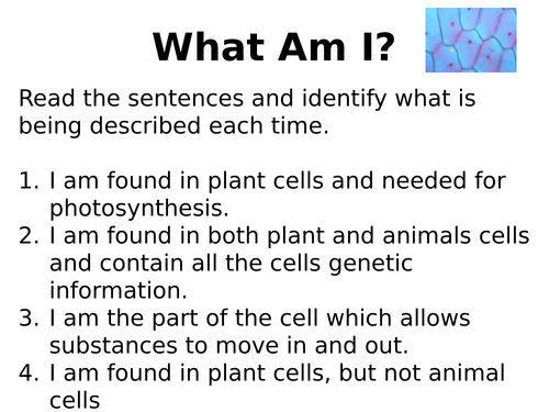 GCSE Biology Cell specialisation and differentiation