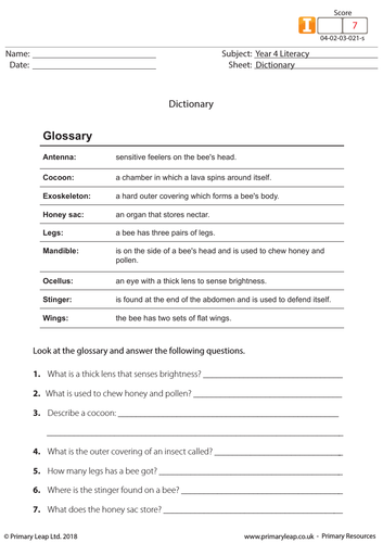 KS2 English Resource: Dictionary