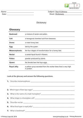 KS2 English Resource: Dictionary (2)