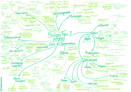 Gcse Biology Revision Mind Maps 6192