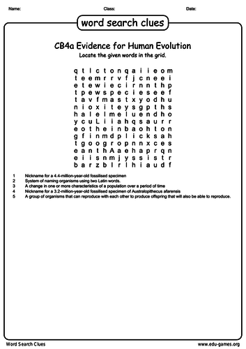 CB4a Keyword Starter/Plenary wordsearch