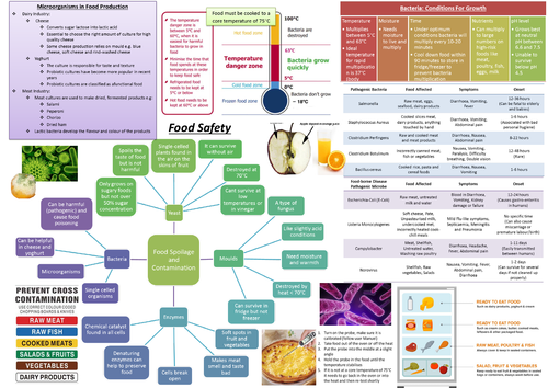 Revision Summary Sheet: Food Safety