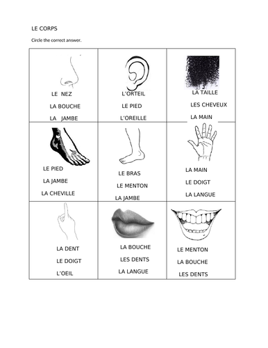 LES PARTIES DU CORPS