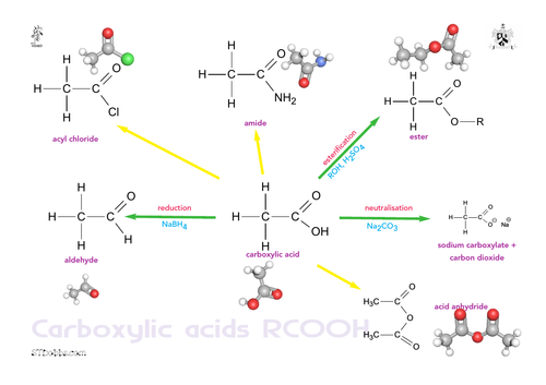 Perspective diagram for carboxylic acid