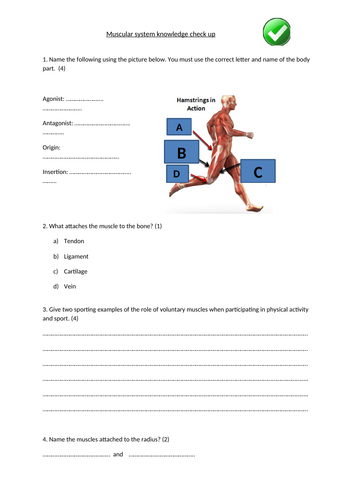 Muscular system knowledge check up