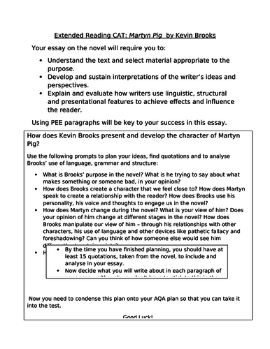 Martyn Pig lesson resources