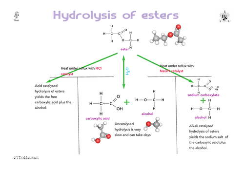 Hydrolysis of esters summary