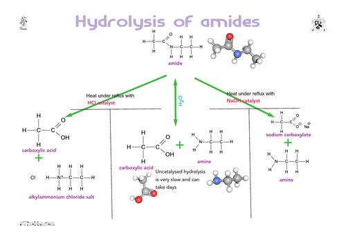 Hydrolysing amides