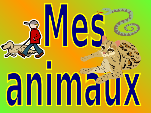 FRENCH KS3 ANIMALS MODULE ppt