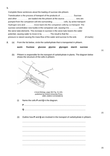 AS Biology - Translocation
