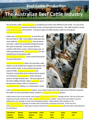 Beef Cattle Production - 3 Cloze Activities