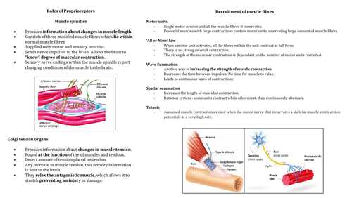 AQA A Level PE revision - Anatomy and Physiology 'Topic on a page' revision sheets